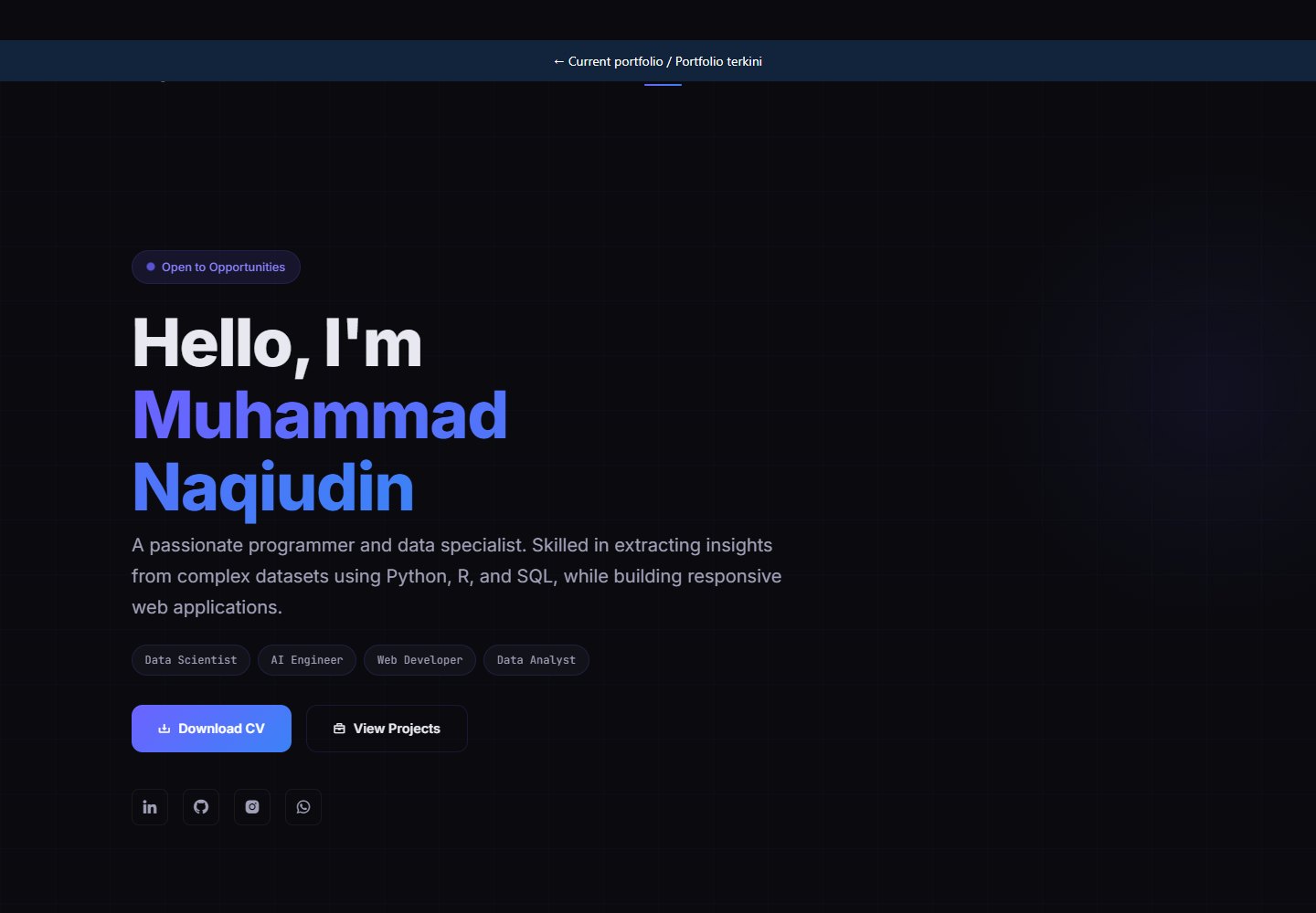 Previous portfolio design preview